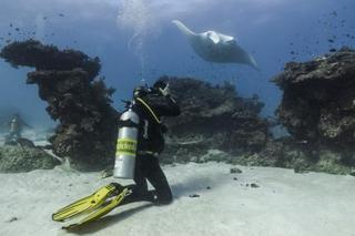 Lady Elliot Island Eco Resort Esterno foto