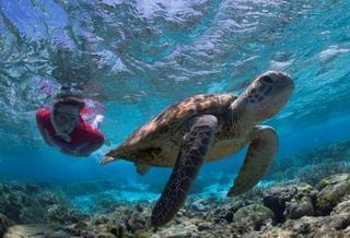 Lady Elliot Island Eco Resort Esterno foto