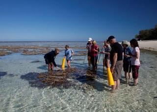 Lady Elliot Island Eco Resort Esterno foto